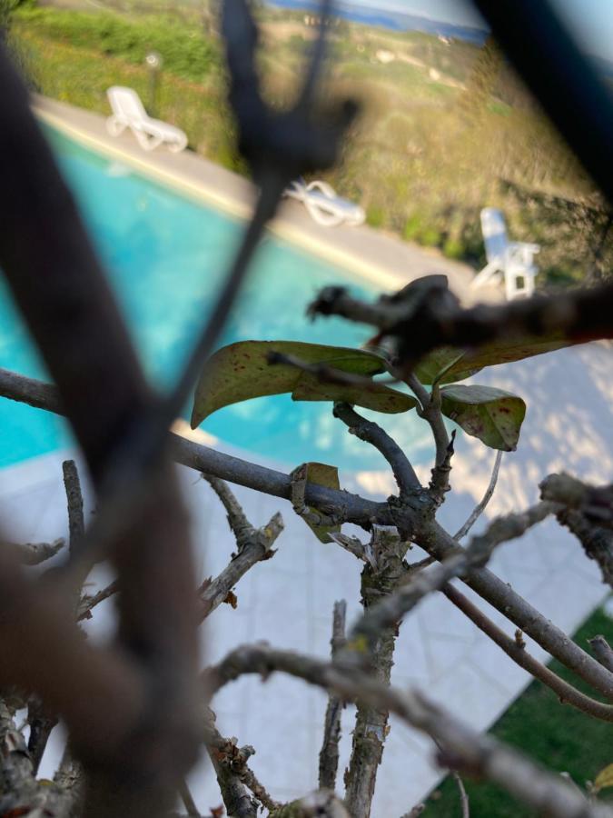 Appartamento Il Vecchio Fienile 산지미냐노 외부 사진